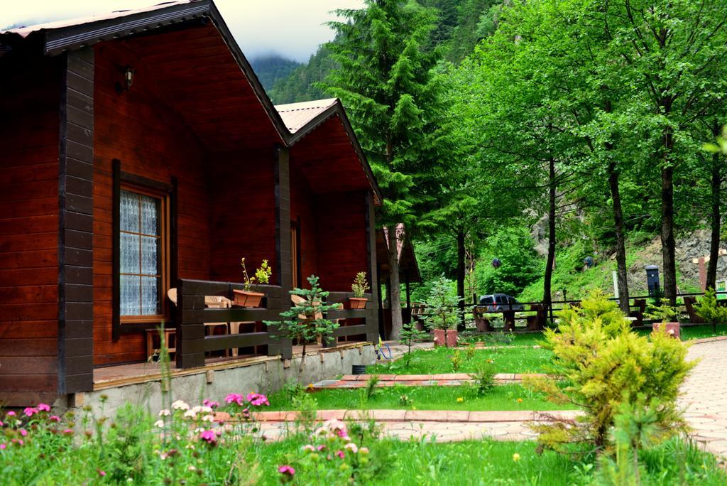 Akyuz Kardesler Hotel & Bungalow Uzungöl Exterior foto
